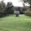 prato-500x400